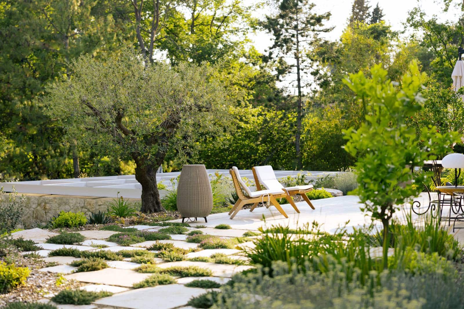 Terrasse extérieure moderne avec dalles de pierre et plantes couvre-sol, chaises longues en bois et grand lampadaire tressé près d'un olivier.