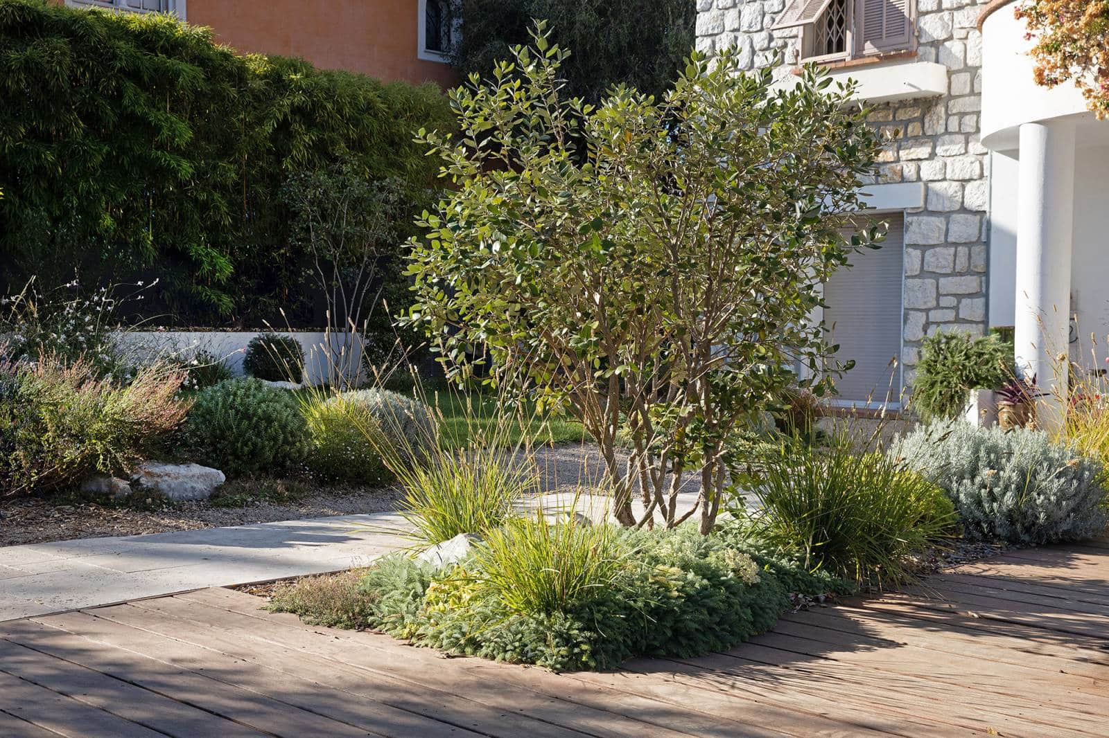 Jardin méditerranéen contemporain avec terrasse en bois, bambou, arbustes structurés, et une maison en pierre claire.