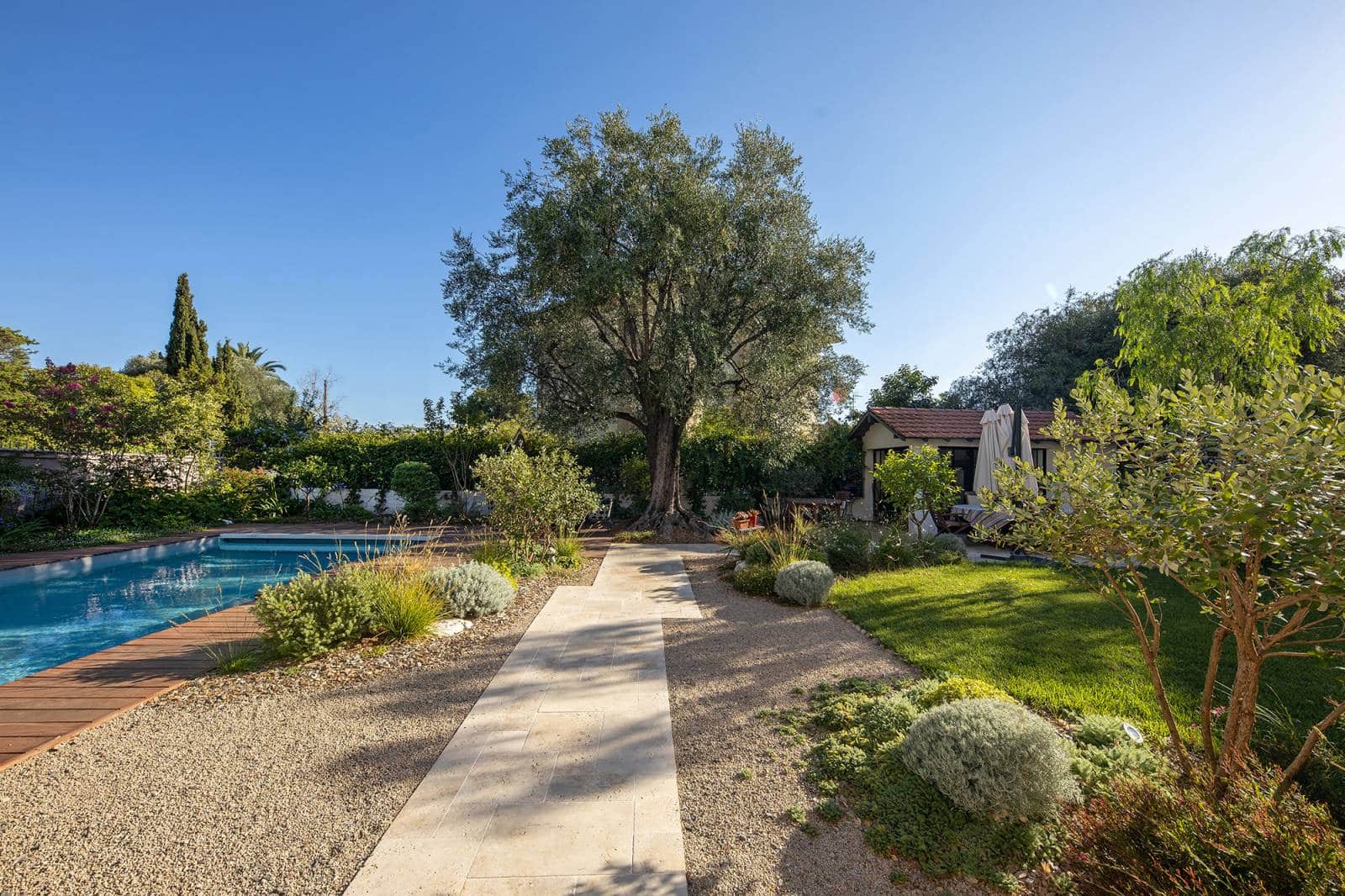 Chemin en dalles claires traversant un jardin méditerranéen avec une piscine, un grand olivier central et une petite maison.