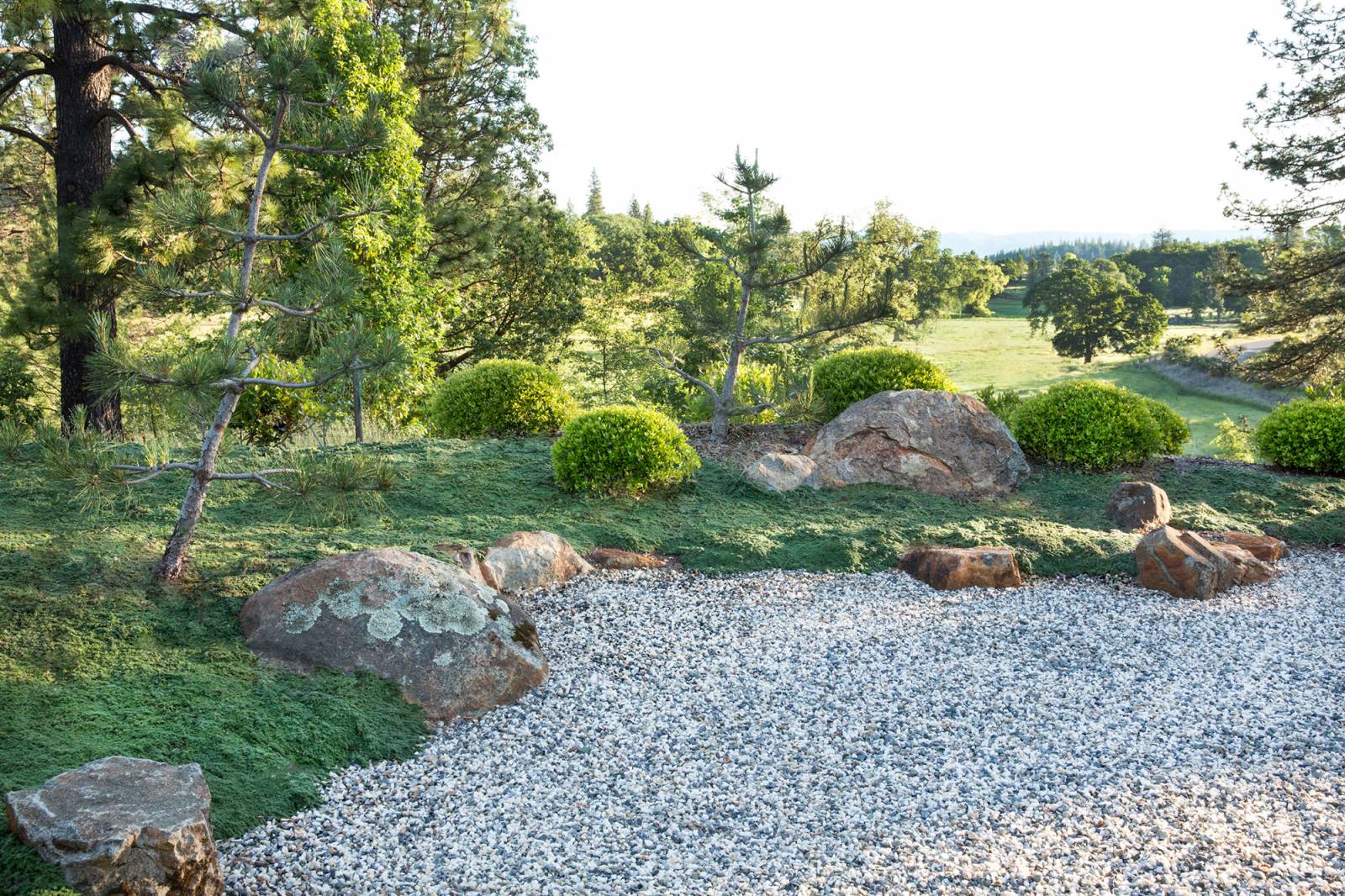 Jardin zen avec gravier clair, roches moussues, conifère nain et vue sur une prairie verdoyante.