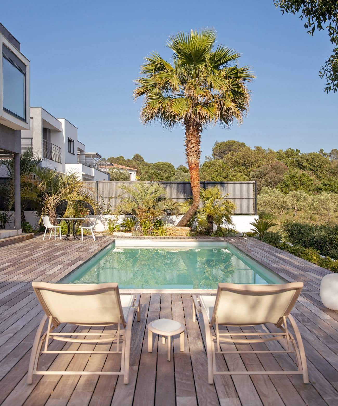 Terrasse en bois avec piscine moderne, bain de soleil, et grand palmier devant une végétation luxuriante sous un ciel bleu.